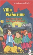 Phyllis Reynolds Naylor - Geisterjagd im Spukhotel
