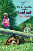 Phyllis Reynolds Naylor - Jagd auf Shiloh