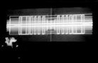 Carsten Nicolai, Max Hollein - Carsten Nicolai - anti reflex