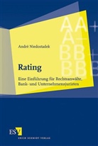 André Niedostadek - Rating