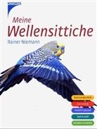 Rainer Niemann - Meine Wellensittiche