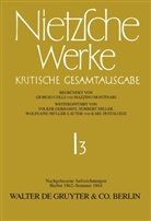 Friedrich Nietzsche, Giorgio Colli, Johann Figl, Han Gerald Hödl, Hans Gerald Hödl, Volker Gerhardt... - Werke, Kritische Gesamtausgabe - Band 3: Nachgelassene Aufzeichnungen (Herbst 1862 - Sommer 1864)