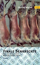 Bernd Niquet - Finale Senkrechte
