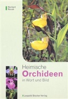 Norbert Novak - Heimische Orchideen in Wort und Bild