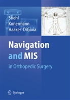 A. M. DiGioia, A.M. DiGioia, Rolf G Haaker et al, Werne H Konermann, Werner H Konermann, Rolf G. Haaker... - Navigation and MIS in Orthopaedic Surgery
