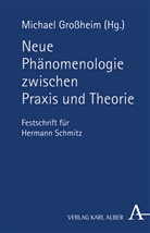 Michael Großheim - Neue Phänomenologie zwischen Praxis und Theorie