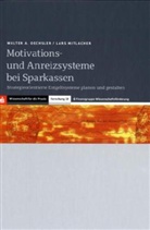 Lars Mitlacher, Walter A. Oechsler - Motivations- und Anreizsysteme bei Sparkassen