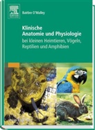 Bairbre OMalley, Bairbre O'Malley - Klinische Anatomie und Physiologie bei kleinen Heimtieren, Vögeln, Reptilien und Amphibien