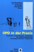 Peter Buchheim, Manfred Cierpka, Harald J. Freyberger, Henning Schauenburg - OPD in der Praxis