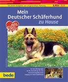 Erich Orschler - Mein Deutscher Schäferhund zu Hause