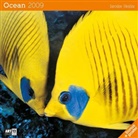 Jaroslav Hejzlar - Ocean, Broschürenkalender 2009