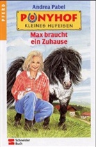 Andrea Pabel - Ponyhof Kleines Hufeisen - 2: Max braucht ein Zuhause