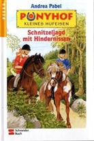 Andrea Pabel - Ponyhof Kleines Hufeisen - 6: Schnitzeljagd mit Hindernissen