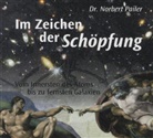 Norbert Pailer - Im Zeichen der Schöpfung