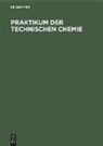 Kurt Kirchner, Franz Patat, Degruyter - Praktikum der Technischen Chemie