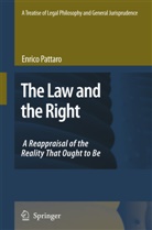 Enrico Pattaro, Pattaro, E Pattaro, E. Pattaro - A Treatise of Legal Philosophy and General Jurisprudence. Vol.1