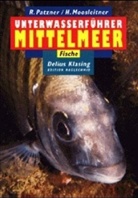 Horst Moosleitner, Robert Patzner - Unterwasserführer Mittelmeer, Fische