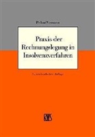 Walter Niemann, Jürgen Pelka - Praxis der Rechnungslegung in Insolvenzverfahren