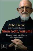 Abbe Pierre, Abbé Pierre - Mein Gott, warum?
