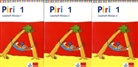 Piri, Fibel: 1. Schuljahr, 3 Lesehefte (auch für östliche Bundesländer)