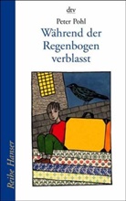 Peter Pohl - Während der Regenbogen verblaßt