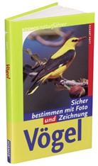 Eckart Pott - Vögel