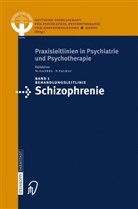 P Falkai, P. Falkai, Gaebel, W. Gaebel, P. Falkai, Peter Falkai... - Praxisleitlinien in Psychiatrie und Psychotherapie - 1: Behandlungsleitlinie Schizophrenie
