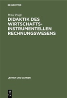 Peter Preiß - Didaktik des wirtschaftsinstrumentellen Rechnungswesens
