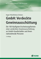 Hagen Prühs - GmbH, Verdeckte Gewinnausschüttungen
