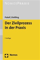 Friedrich Pukall - Der Zivilprozess in der Praxis