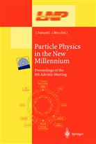 J. Trampetic, Josi Trampetic, Josip Trampetic, WESS, Wess, J. Wess... - Particle Physics in the New Millennium