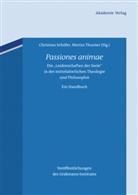Christian Schäfer, Martin Thurner - Passiones Animae