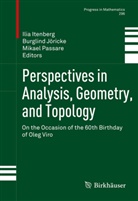 Ilia Itenberg, Burglin Jöricke, Burglind Jöricke, Burglind Juhl-Jöricke, Mikael Passare - Perspectives in Analysis, Geometry, and Topology
