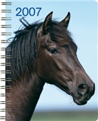 Pferde, Buchkalender
