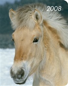 Pferde, Hard Cover Diary 2008