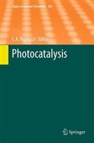 Carlo A. Bignozzi, Carlo Alberto Bignozzi - Photocatalysis