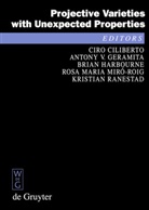Ciro Ciliberto, Anthony V. Geramita, Antony V. Geramita, Brian Harbourne, Brian Harbourne et al, Rosa Maria Miró-Roig... - Projective Varieties with Unexpected Properties