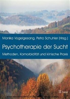 Schuhle, Petra Schuhler, Vogelgesan, Monika Vogelgesang - Psychotherapie der Sucht