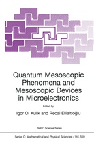 Ellialtiogammalu, Ellialtiogammalu, Recai Ellialtiogammalu, Recai Ellialtioglu, Igor O. Kulik, Igo O Kulik... - Quantum Mesoscopic Phenomena and Mesoscopic Devices in Microelectronics