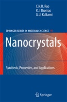 G U Kulkarni, G. U. Kulkarni, G.U. Kulkarni, C N Rao, C N R Rao, C. N. R. Rao... - Nanocrystals: