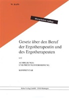 Wolfgang Raps - Gesetz über den Beruf der Ergotherapeutin und des Ergotherapeuten und Ausbildungs- und Prüfungsverordnung, Kommentar