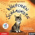 Käthe Recheis, Elisabeth Sutterlüty - Wölfchen Schlaukopf, 1 Audio-CD (Audio book)