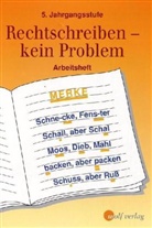 Rechtschreiben - kein Problem: 5. Jahrgangsstufe, Arbeitsheft