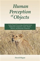 David Regan, David M. Regan - Human Perception of Objects