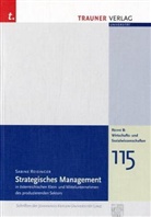 Sabine Reisinger - Strategisches Management