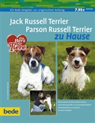 Cornelia Renczes - Jack Russell Terrier, Parson Russell Terrier zu Hause
