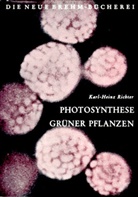Karl H Richter, Karl-Heinz Richter - Photosynthese grüner Pflanzen