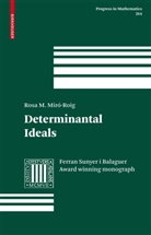 Rosa M Miró-Roig, Rosa M. Miró-Roig, Rosa M. Miró-Roig - Determinantal Ideals