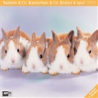 Rabbits & Co., Broschürenkalender 2009. Kaninchen & Co.. Králici & spol.
