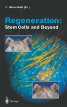 Ellen Heber-Katz - Regeneration: Stem Cells and Beyond